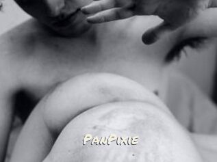 PanPixie