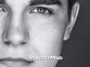 PerfectMind