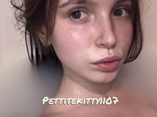 Pettitekitty1107