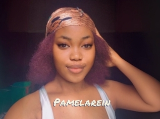 Pamelarein