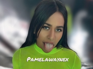 Pamelawaynex