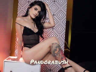 Pandorabush