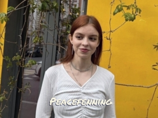 Peacefenning