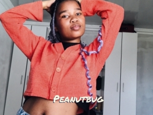 Peanutbug