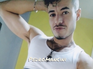 Pedromancini