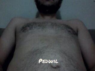 Pedwil