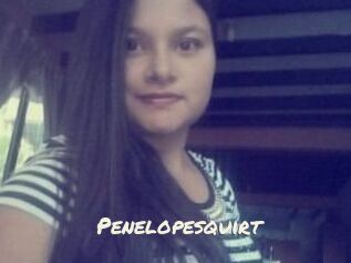 Penelopesquirt