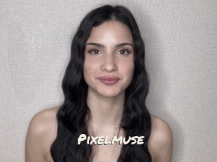 Pixelmuse