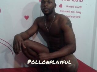 Pollonplayful