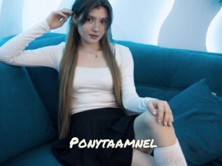 Ponytaamnel