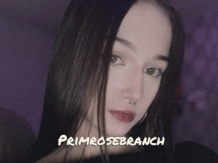 Primrosebranch