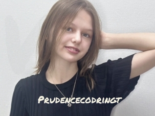 Prudencecodringt