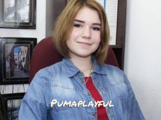 Pumaplayful