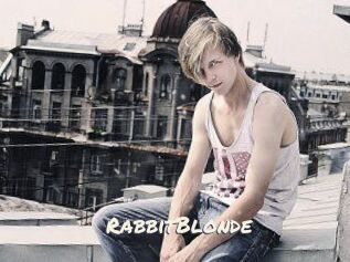 RabbitBlonde