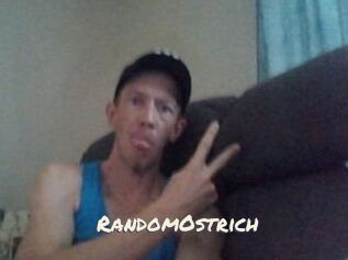 RandomOstrich