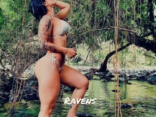 Ravens