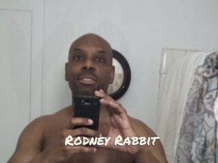 Rodney_Rabbit