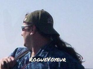 RogueVoyeur