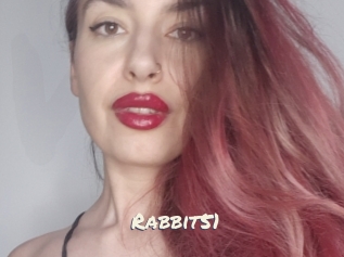 Rabbit51