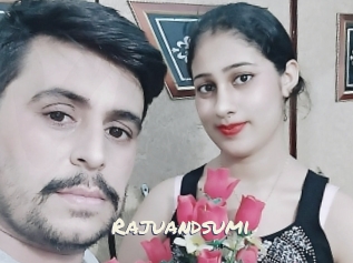 Rajuandsumi