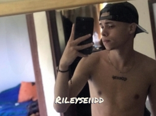 Rileyseiidd
