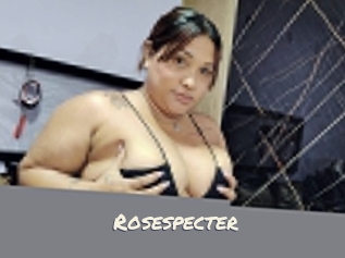 rosespecter Vierges