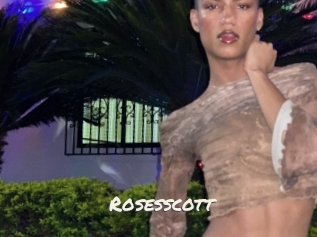 rosesscott Vierges