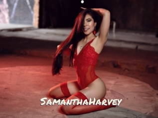SamanthaHarvey Vierges