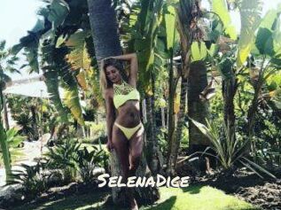 SelenaDice