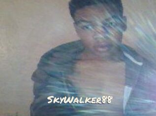 SkyWalker88