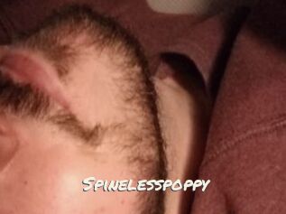Spinelesspoppy