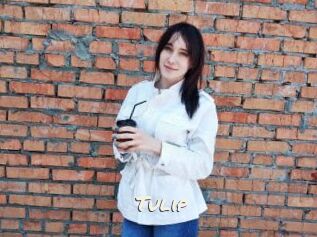 Tulip