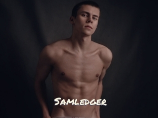 Samledger