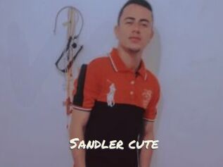 Sandler_cute
