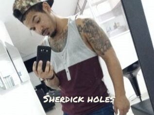 Sherdick_holes