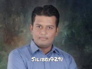 Siliboy7291