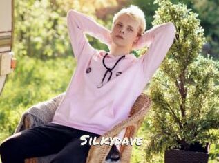 Silkydave
