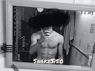 Snake3150