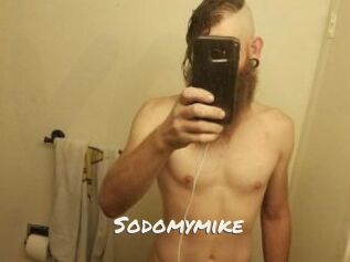 Sodomymike