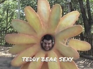 TEDDY_BEAR_SEXY