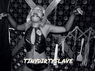 TINYDIRTYSLAVE