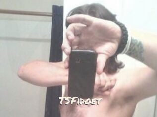 TSFidget