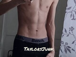 TaylorsJunk
