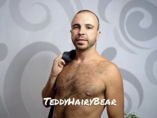 TeddyHairyBear