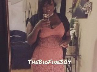 TheBigFine304