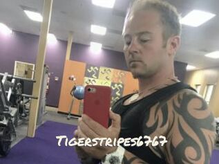 Tigerstripes6767