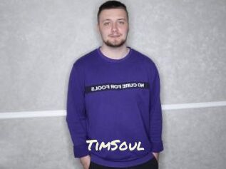 TimSoul