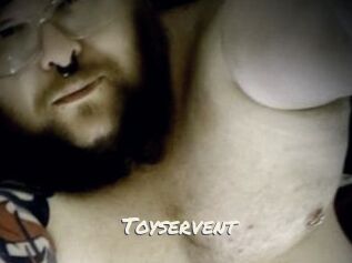 Toyservent