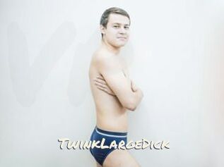 TwinkLargeDick