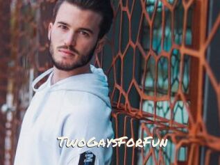 TwoGaysForFun